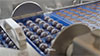 Moulding Line 275 Automatic chocolate mould loader for filling and vibrating